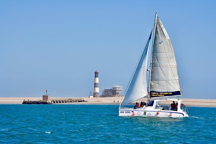 Marine Dolphin & Seal Cruise from Walvis Bay: Pelican Point Wildlife Excursion photo 4
