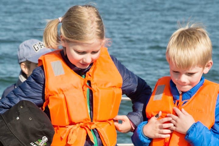 Marine Dolphin & Seal Cruise from Walvis Bay: Pelican Point Wildlife Excursion photo 6