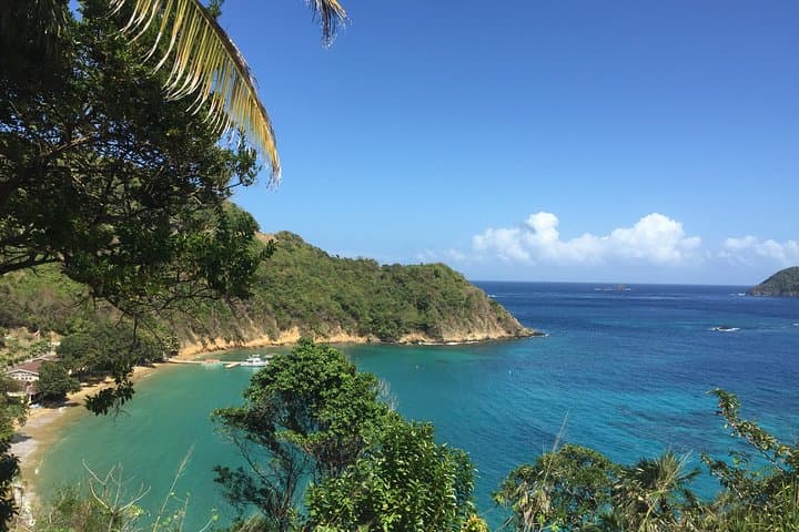 Design Your Own Tobago Day Tour — Private Custom Excursions to Rainforest, Reefs & Waterfalls