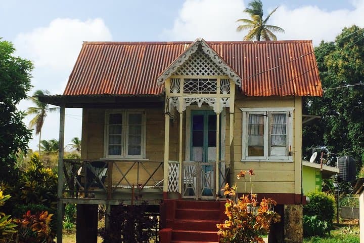 Design Your Own Tobago Day Tour — Private Custom Excursions to Rainforest, Reefs & Waterfalls photo 2