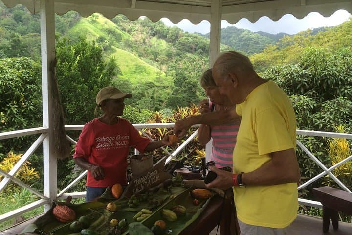 Design Your Own Tobago Day Tour — Private Custom Excursions to Rainforest, Reefs & Waterfalls photo 3