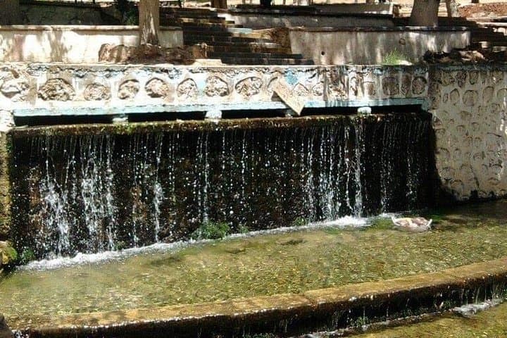 Middle Atlas Day Trip from Fez: Ifrane, Azrou & Cedar Forests photo 4