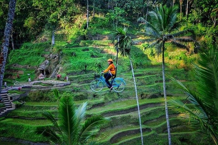 Best of Ubud: Private Full-Day Tour — Monkey Forest, Rice Terraces & Waterfall photo 6
