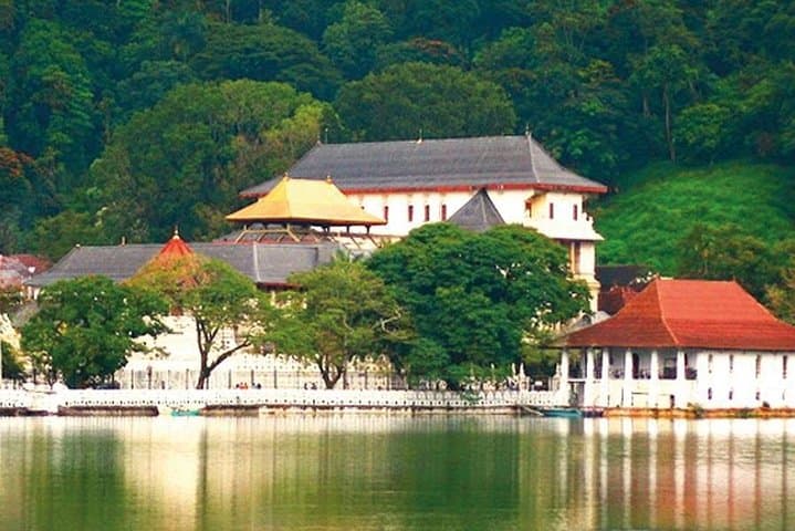 Private Negombo Short Tour & Transfer with Shanaka — Travel Sri Lanka photo 6