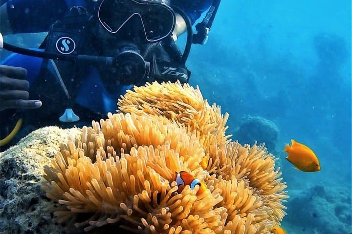 Unforgettable Scuba Diving Adventure in the Andaman Islands