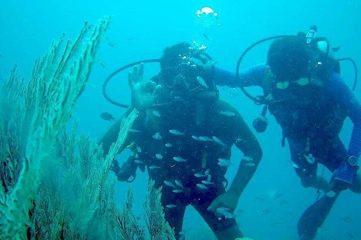 Unforgettable Scuba Diving Adventure in the Andaman Islands photo 2