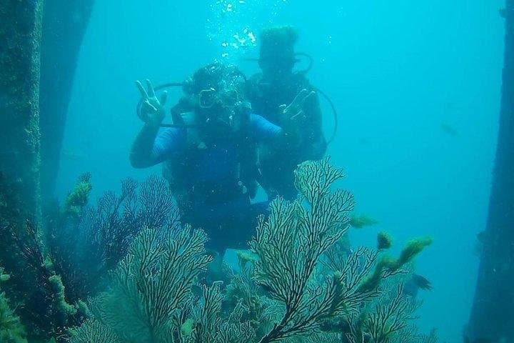 Boat Scuba Diving at Neil Island: Guided Shallow Reef Dives from Bharatpur Beach photo 2