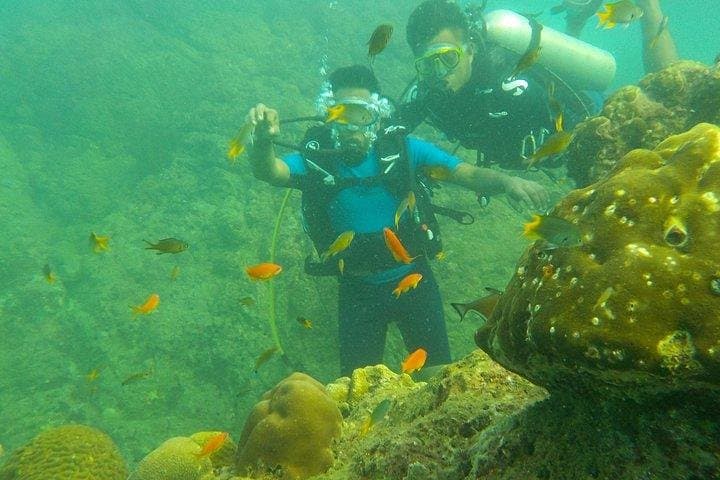 Boat Scuba Diving at Neil Island: Guided Shallow Reef Dives from Bharatpur Beach photo 4