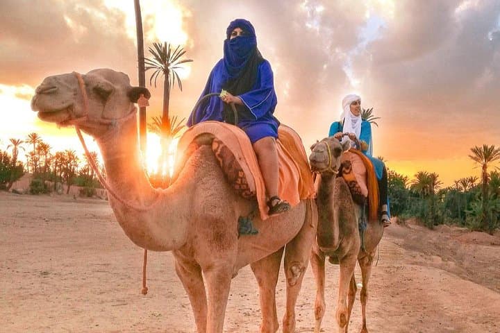 Palmeraie Camel Ride: Marrakech Camel Trek & Mint Tea Experience photo 2