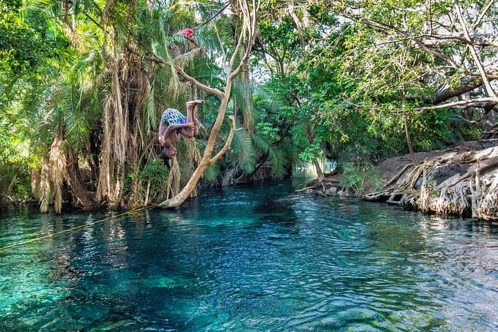 Materuni Waterfalls, Coffee & Kikuletwa Hot Springs — Day Trip from Arusha