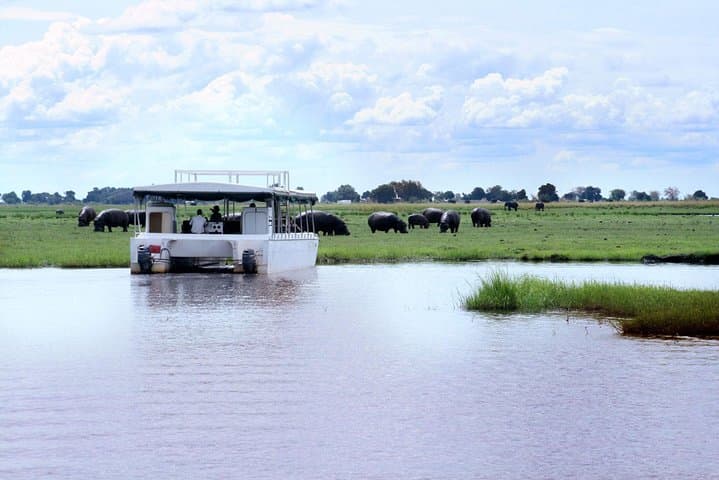 Sunset Cruise on the Chobe River: Elephant Herds, Golden Light & Kasane Pickup photo 5