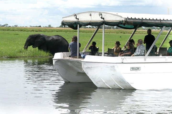 Sunset Cruise on the Chobe River: Elephant Herds, Golden Light & Kasane Pickup