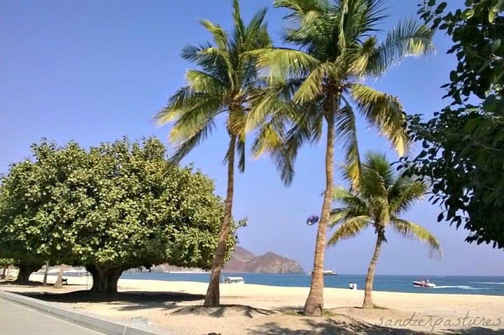 Fujairah Private City Tour: Full-Day Hajar Mountains, Forts & Beaches photo 1