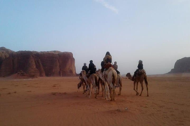 Wadi Rum Jeep and Camel Overnight: Sunset Dunes, Canyons & Bedouin Camp