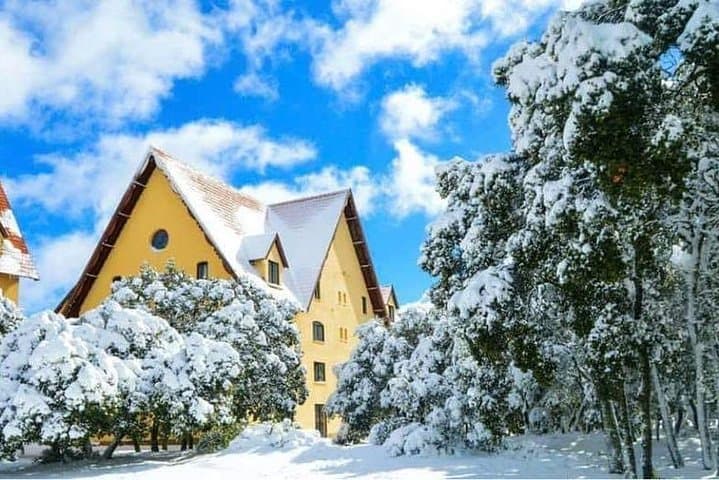 Middle Atlas Day Trip from Fez: Ifrane, Azrou & Cedar Forests photo 2