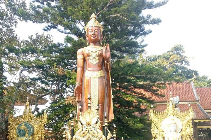 Chiang Mai Tea Plantation, Karen Village & Doi Suthep Private Day Tour photo 2