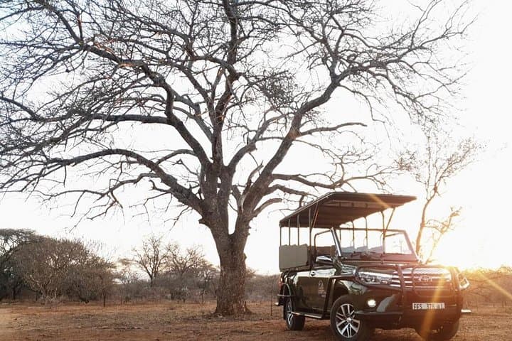 Full-Day Kruger Safari: Big Five, Waterholes & Open Vehicle Wildlife Viewing photo 1