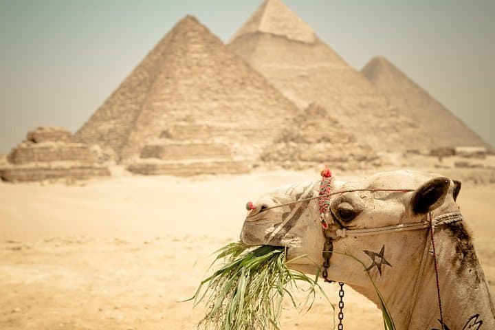 Sunrise & Sunset Camel Ride at the Giza Pyramids — Private 3-Hour Experience