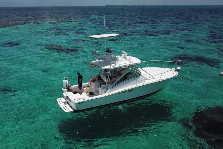 Stingray City Private Charter: 34ft Express Cruiser Snorkel & Starfish Point from West Bay photo 3