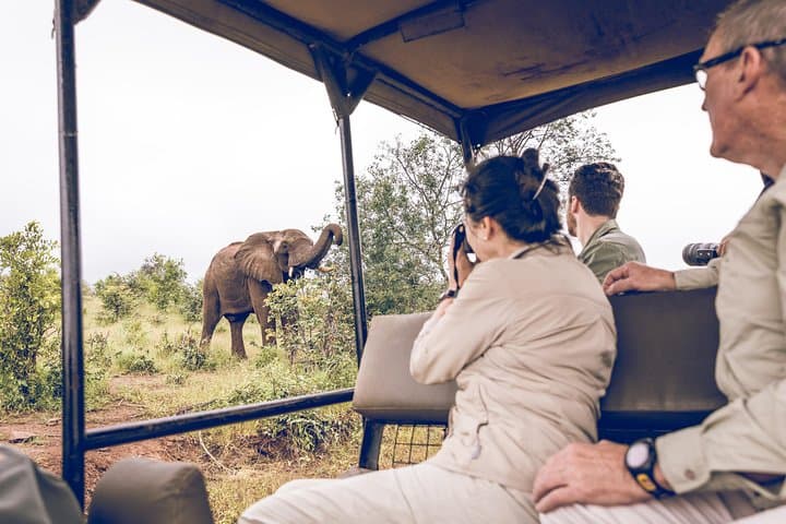 Zambezi National Park Game Drive from Victoria Falls — Riverfront Wildlife Safari photo 3