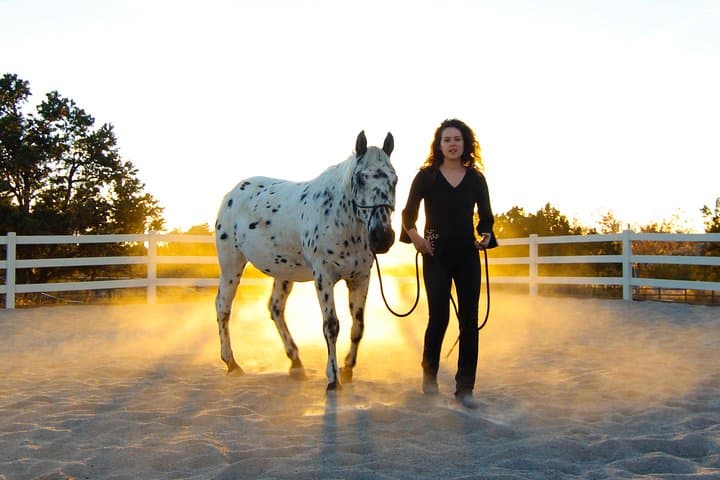 Horse-Guided Leadership & Mindfulness Retreat Near Boulder photo 2
