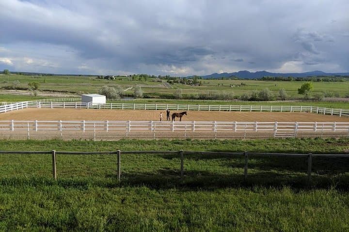 Horse-Guided Leadership & Mindfulness Retreat Near Boulder photo 5