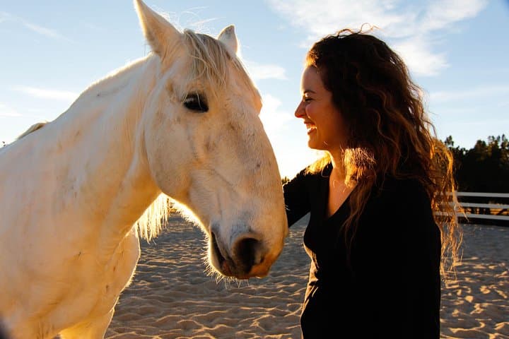 Horse-Guided Leadership & Mindfulness Retreat Near Boulder