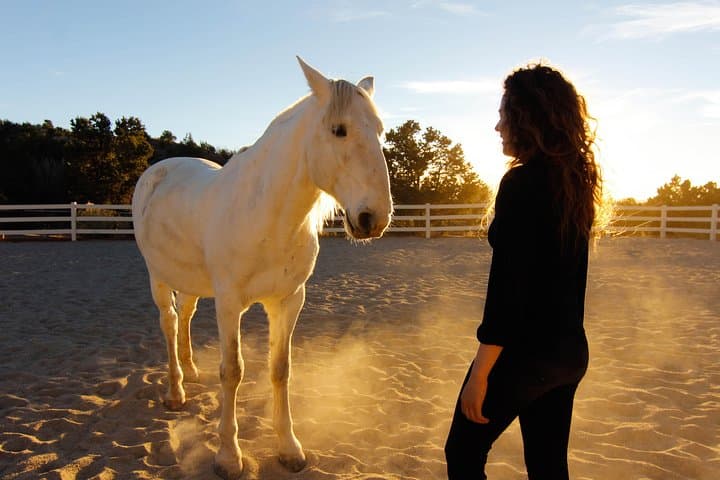 Horse-Guided Leadership & Mindfulness Retreat Near Boulder photo 3