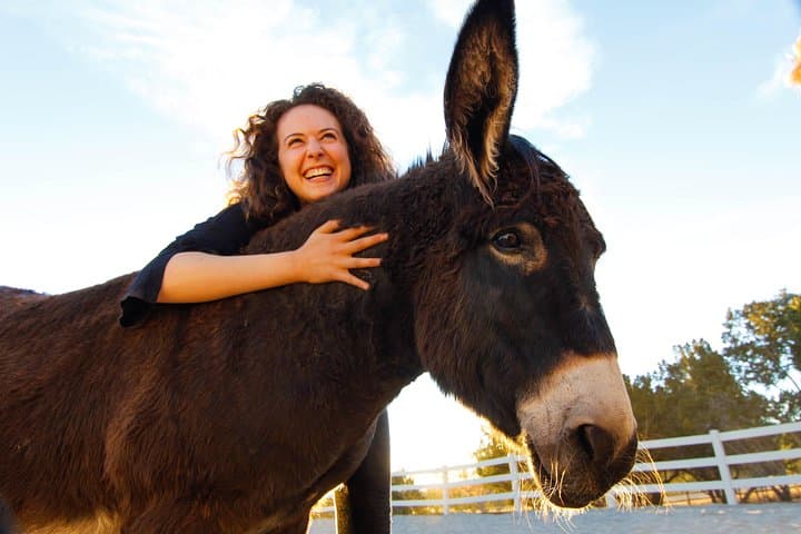 Horse-Guided Leadership & Mindfulness Retreat Near Boulder photo 4