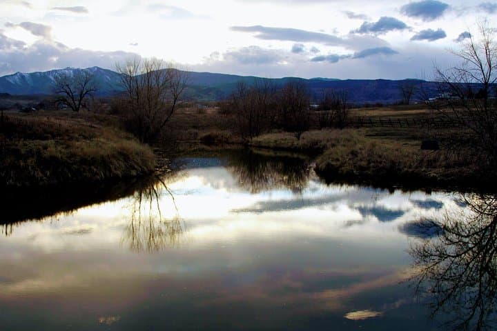 Horse-Guided Leadership & Mindfulness Retreat Near Boulder photo 6