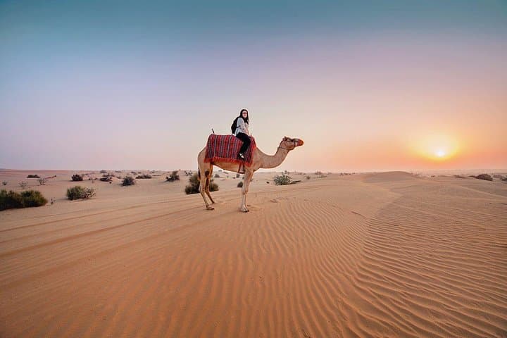 Morning Desert Safari at Lahbab: Quad Biking, Sandboarding & Camel Ride in Dubai photo 5
