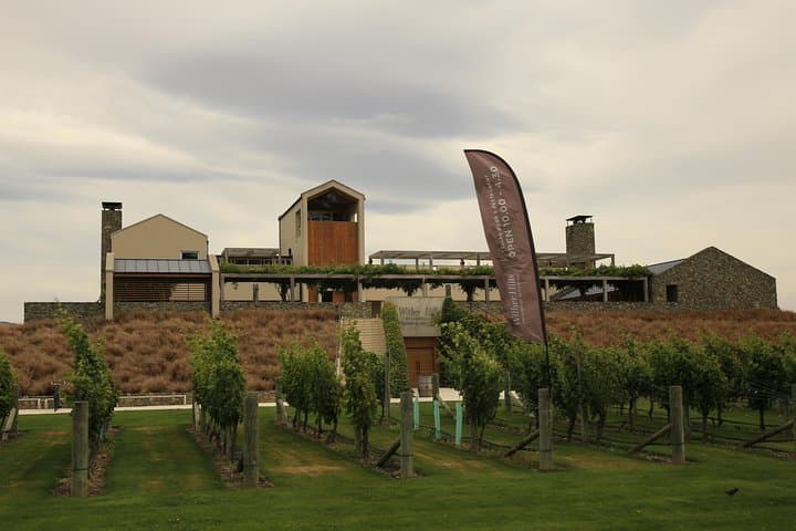 Marlborough Hop-On Hop-Off Wine Tour — Cruise Ship Day from Picton photo 3