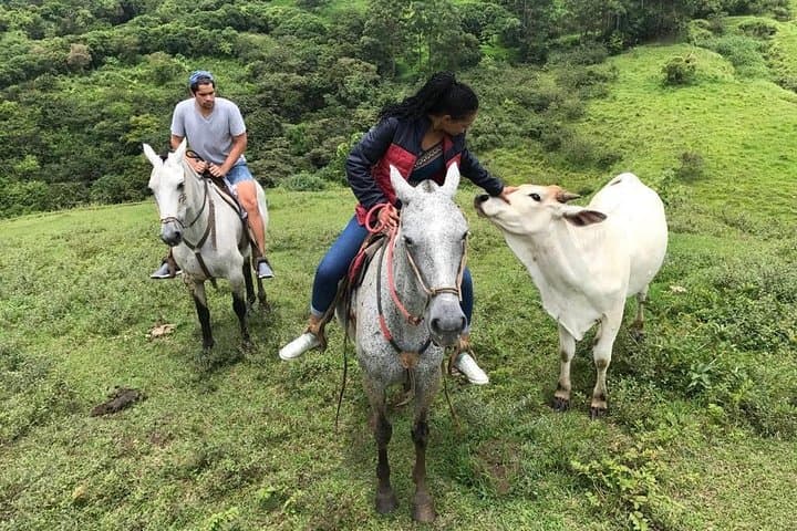 Horseback Riding the Monteverde Cloud Forest: Sunrise Birding & Sunset Views photo 5