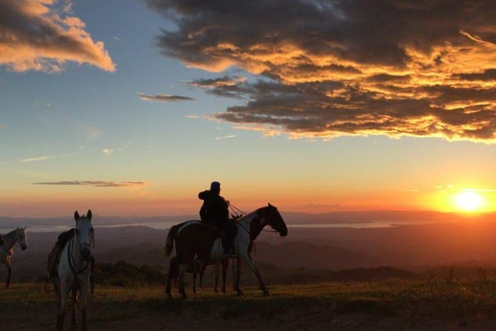 Horseback Riding the Monteverde Cloud Forest: Sunrise Birding & Sunset Views