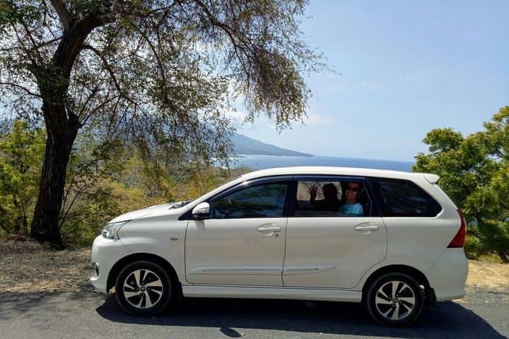 Design Your Dream Day in Bali: Private Ubud Tours to Waterfalls, Temples & Rice Terraces photo 3
