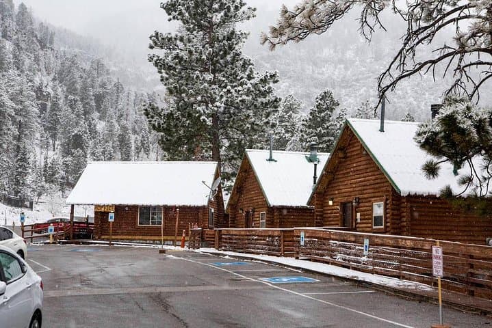 Mount Charleston Day Tour — Escape Las Vegas Heat to Pine Forests photo 4