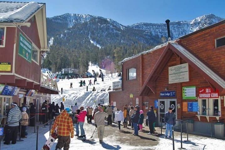Mount Charleston Day Tour — Escape Las Vegas Heat to Pine Forests photo 5