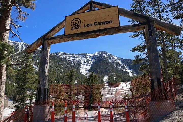 Mount Charleston Day Tour — Escape Las Vegas Heat to Pine Forests photo 6