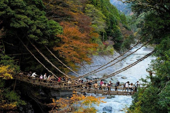 Iya Valley Highlights: Private Full-Day Chauffeur Tour of Vine Bridges & Oboke Gorge photo 4
