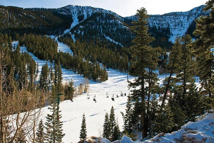 Mount Charleston Day Tour — Escape Las Vegas Heat to Pine Forests photo 3