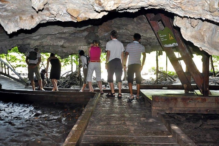 Mangrove River Cruise at Langkawi's Kilim Nature Park: Bat Caves, Eagles & Limestone Cliffs photo 3