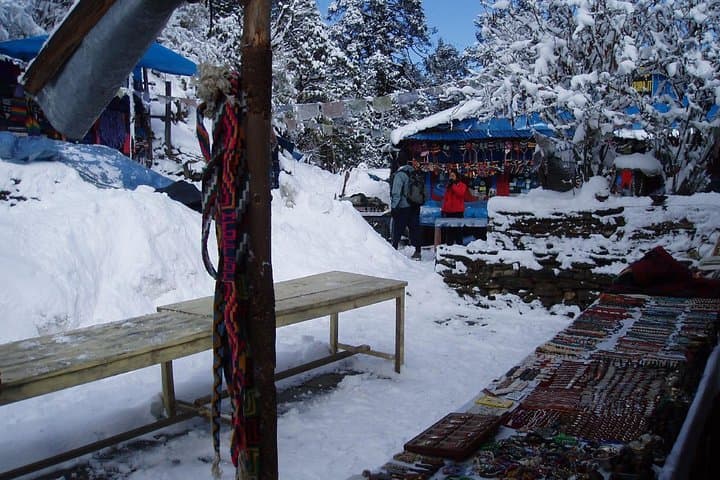 7-Day Annapurna Base Camp & Machhapuchhre (MBC) Trek from Pokhara photo 3