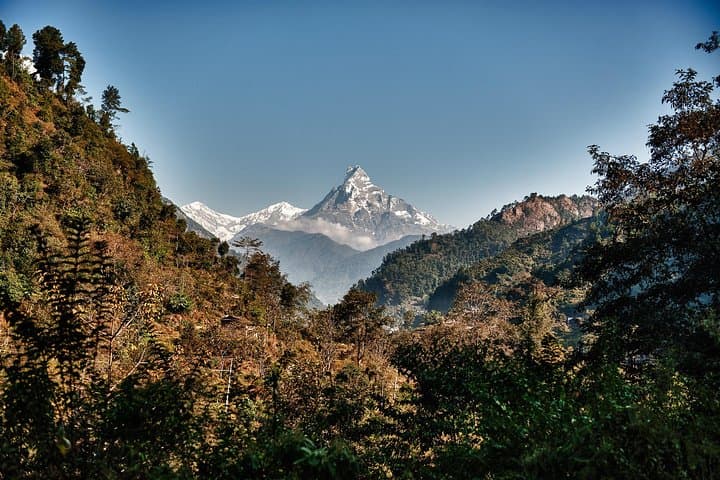 7-Day Annapurna Base Camp & Machhapuchhre (MBC) Trek from Pokhara photo 5
