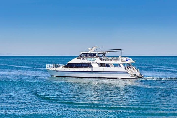 Rottnest Island Boat Dive Day Trip — Limestone Caverns & Soft Coral Walls
