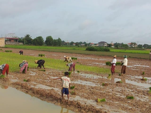 Half-Day Jeep Tour to Banteay Ampil and Rural Siem Reap Countryside photo 4