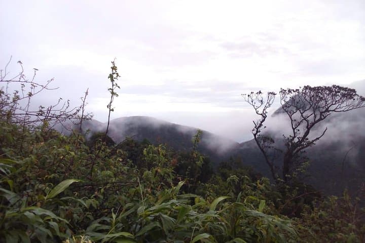 Hike Elephant Spine (Manigala) — Knuckles Backpackers Trail from Kandy photo 3