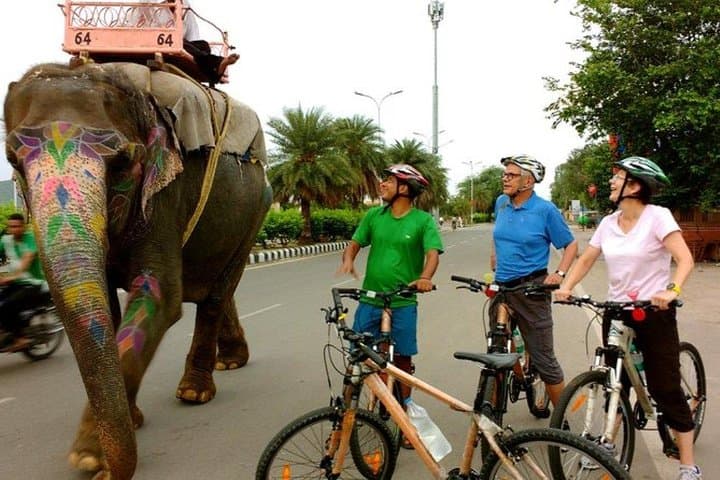 Morning Jaipur Cycle Tour: Pink City Bike & Street Food Experience photo 2