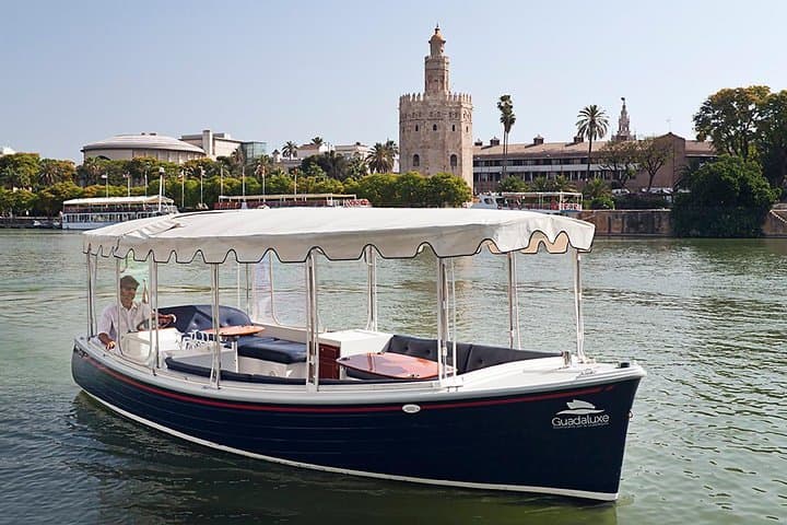 Sun‑Powered Cruise on the Guadalquivir: Eco Tours Through Seville photo 5