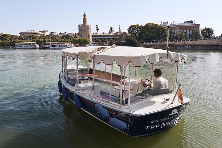 Sun‑Powered Cruise on the Guadalquivir: Eco Tours Through Seville photo 6
