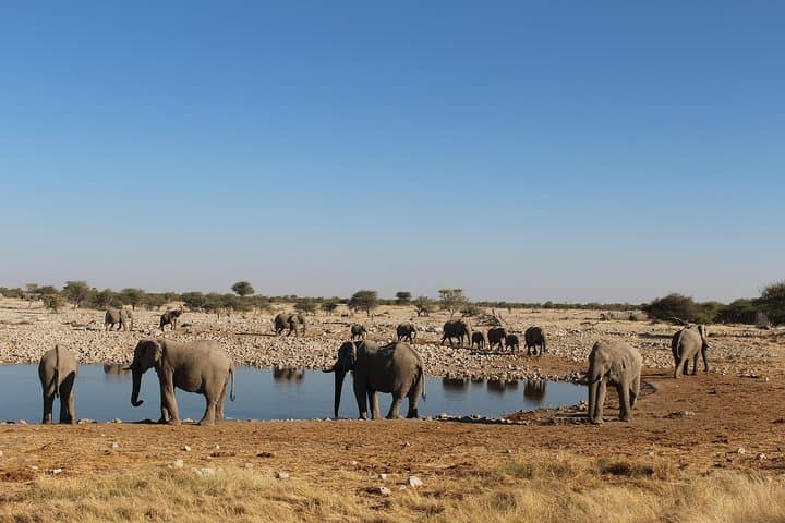 Namibia Express Safari: 6-Day Sossusvlei, Swakopmund & Etosha Wildlife Tour photo 2